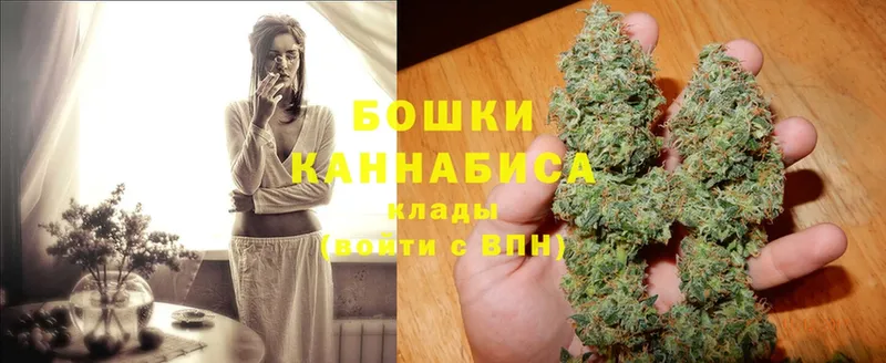 закладка  Нововоронеж  Бошки Шишки Ganja 